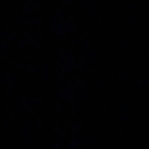 Meet your Posher, Mariah